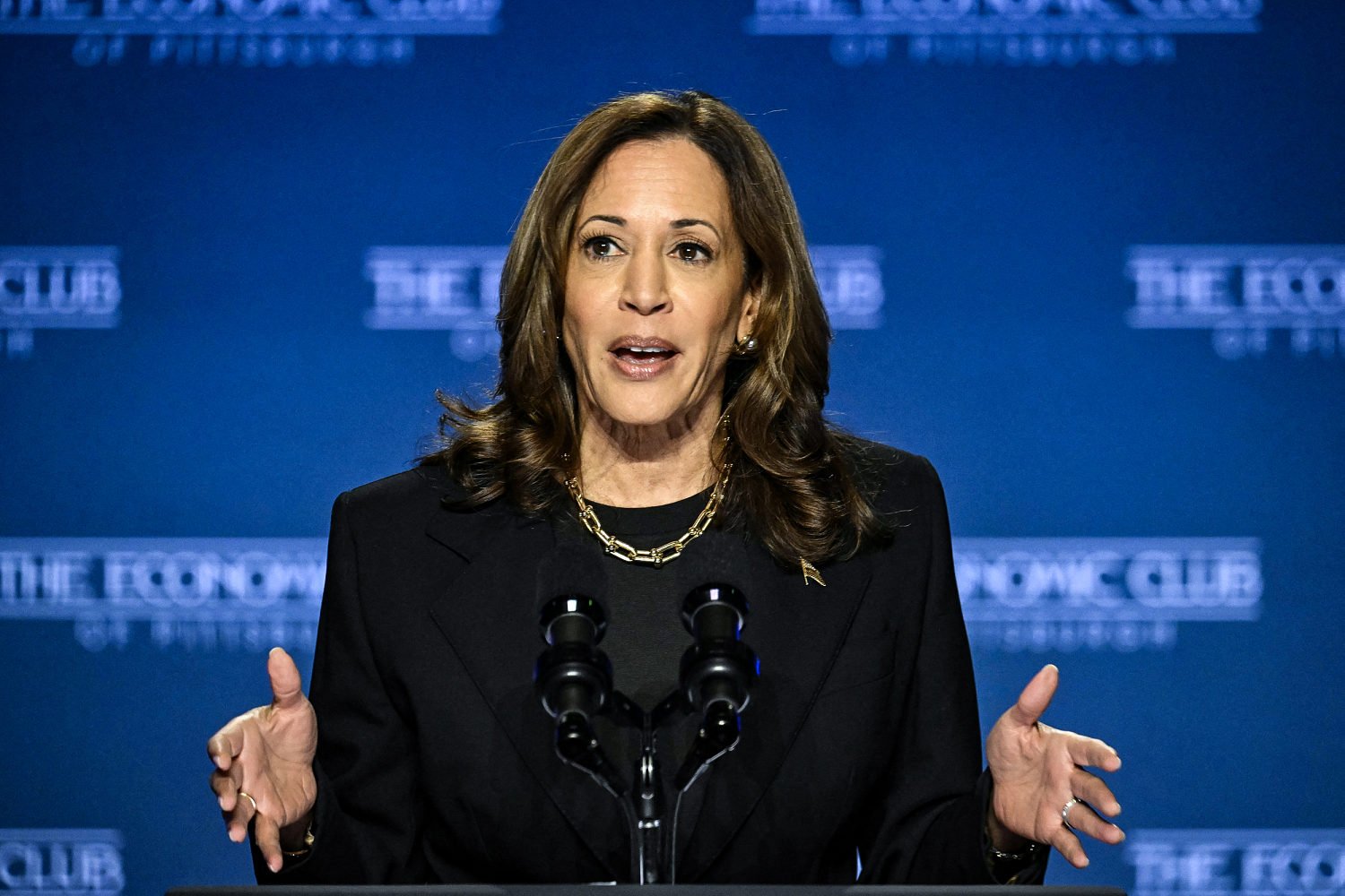 Harris outlines 0 billion manufacturing plan, vowing pragmatism over ideology