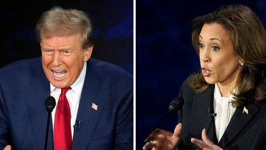 MSNBC host compares Kamala to Trump, ‘he will get a lot credit score’ however ‘she’s an important interviewer’