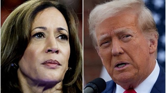 Trump vs Harris: US knowledge scientist who precisely predicted 2020 outcome claims 2024 election will likely be landslide for… (360taazanews.com)