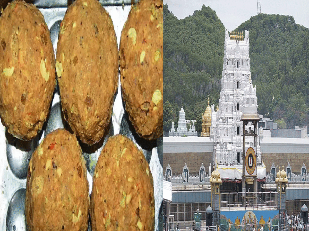 Ancient Inscriptions Reveal Tirupati Temple’s Centuries-Old Tradition of Protecting Prasadam Purity