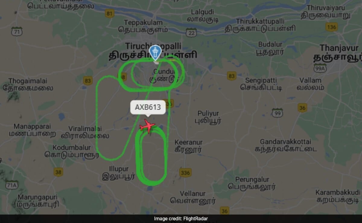 After Mid-Air Scare, Air India Express Flight Lands Safely In Trichy