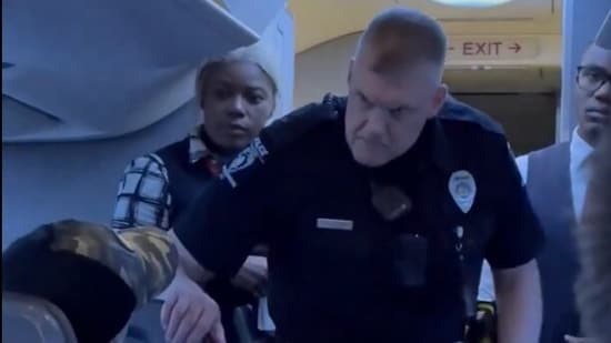 American Airlines passengers intervene to cease alleged assault on flight: Watch
