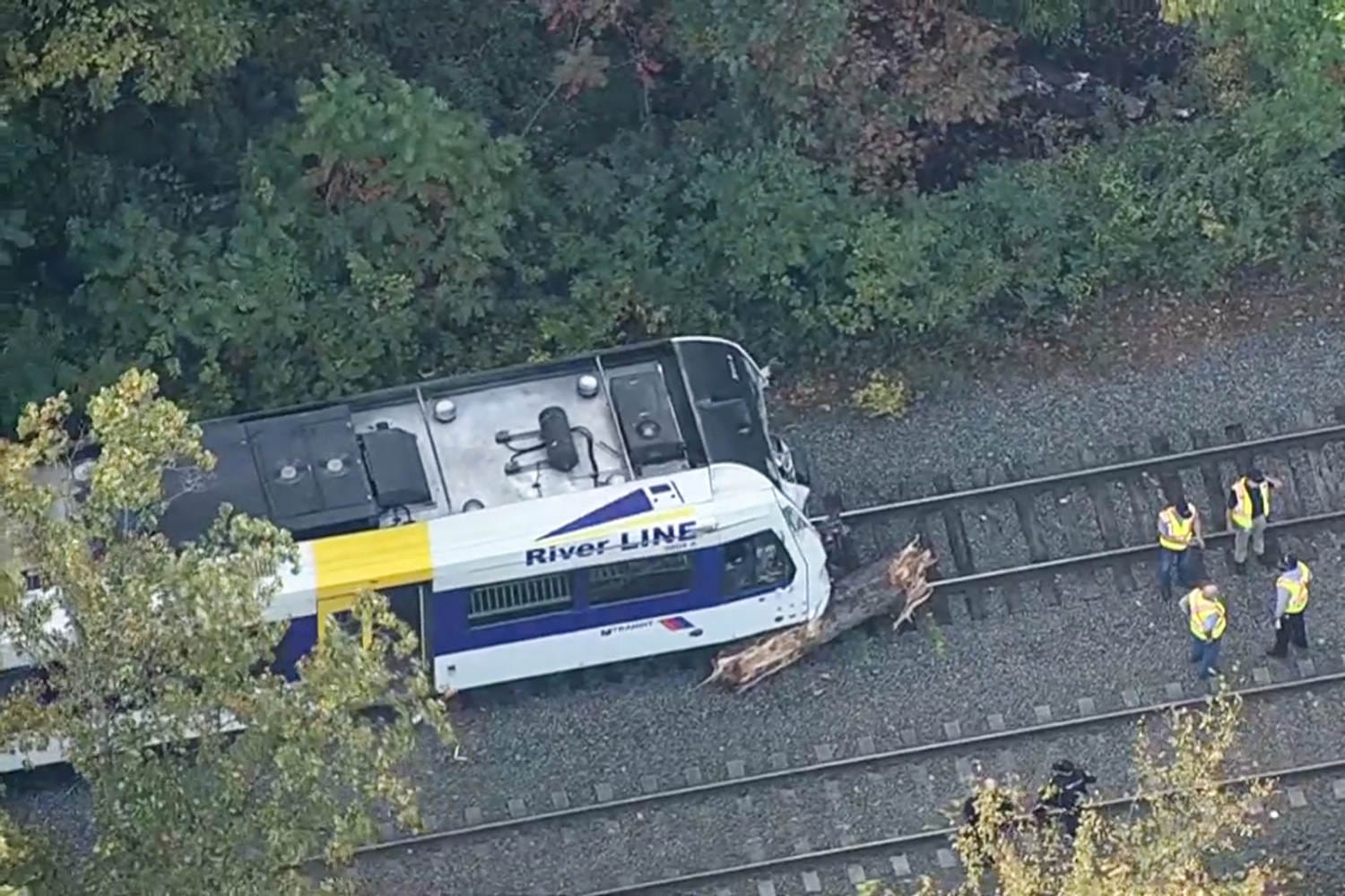 New Jersey Transit operator useless, 23 harm after practice hits tree