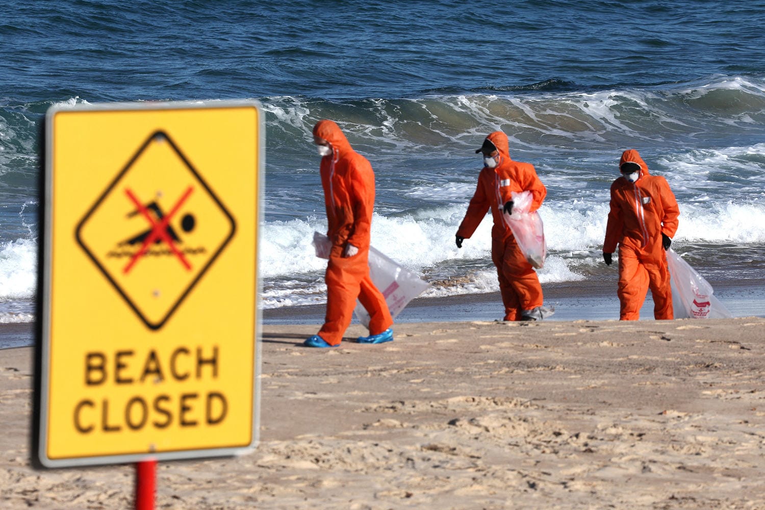 Sydney seashores shut over mysterious tar balls washing ashore