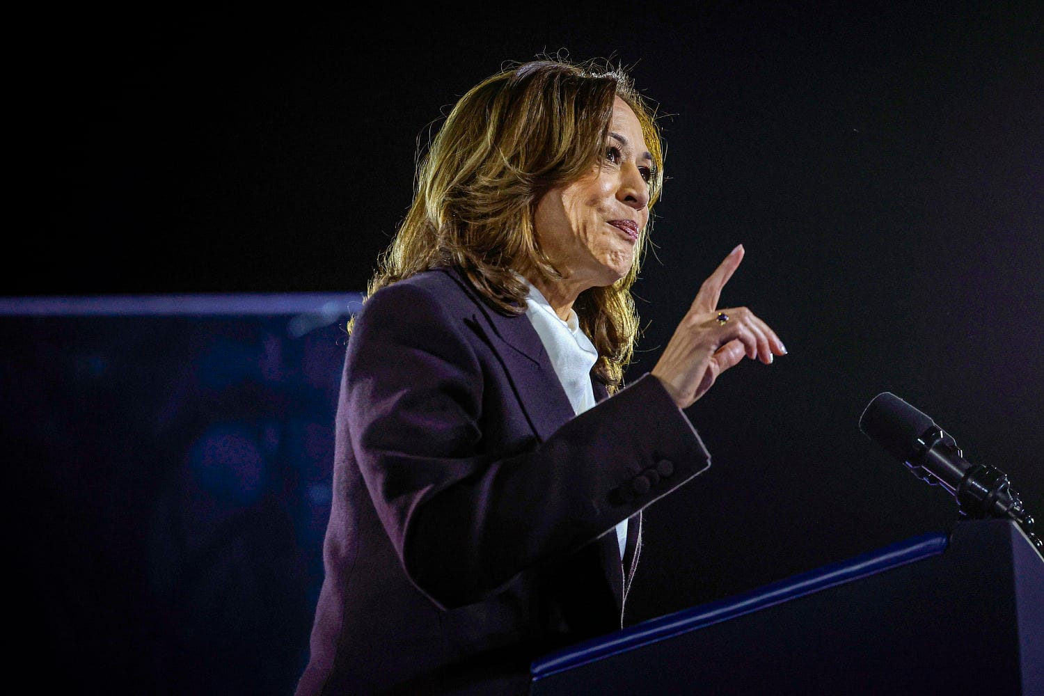 Kamala Harris says she strongly disagrees with criticism of individuals based mostly on who they vote for