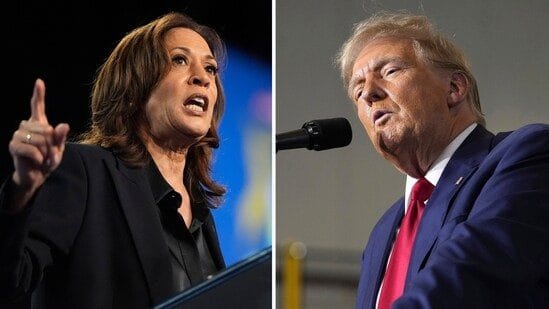 7 in 10 Black voters view Harris favourably; Trump topic to overwhelmingly destructive outcomes: Poll