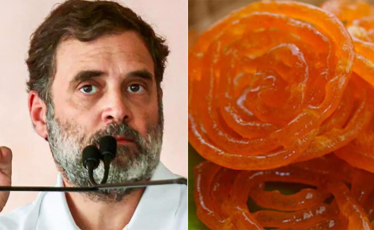 2024 Haryana Assembly Election Result, BJP Wins Haryana Election, Jalebis Rahul Gandhi