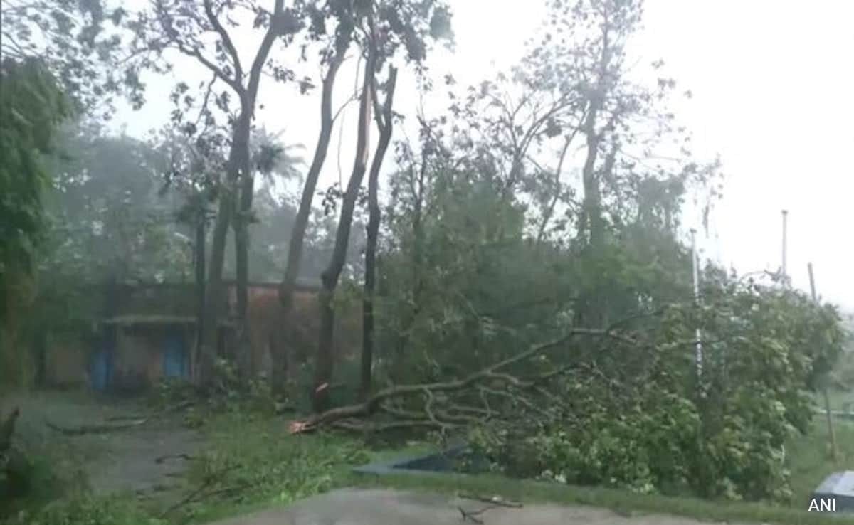 Heavy Rain, Strong Winds In Odisha, Bengal As Cyclone Dana Makes Landfall