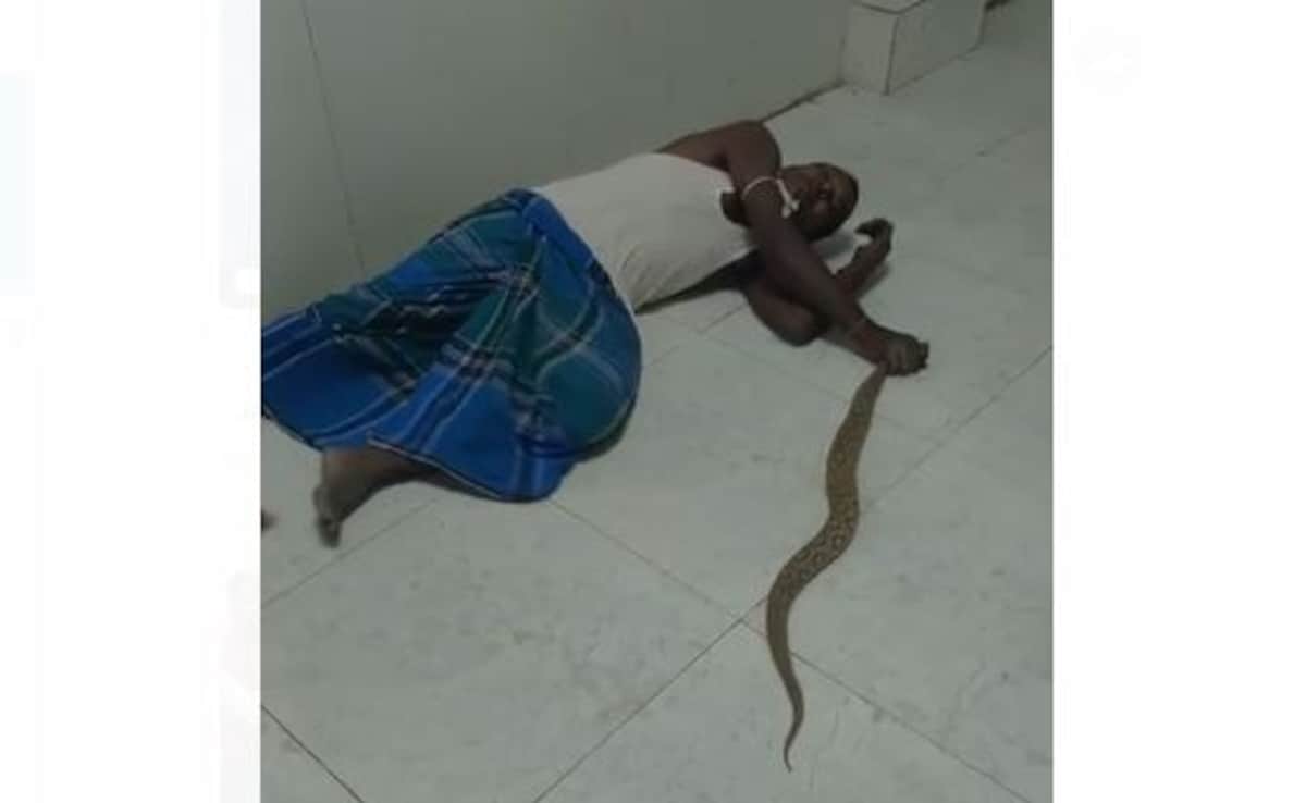 Bitten By Snake, Man Walks Into Bihar Hospital With Reptile In Hand