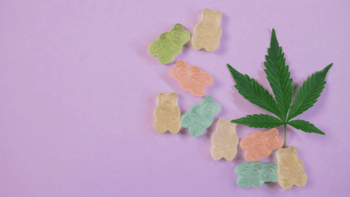 Best CBD for Anxiety and Stress Relief – Hollywood Life