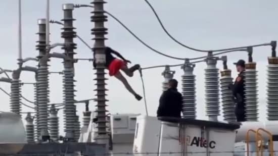 Woman hangs dangerously from excessive voltage transformer in Utah, leaves over 800 houses with out electrical energy. Watch | Trending