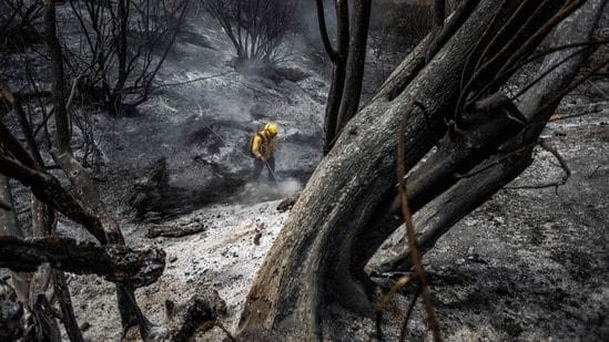 A wildfire fueled by sturdy winds has devastated Southern California, 1000’s evacuated