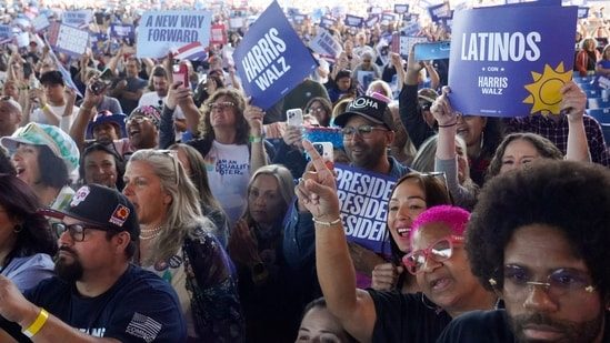 Thousands in Arizona registered to vote with out citizenship proof; decide points order after pc glitch