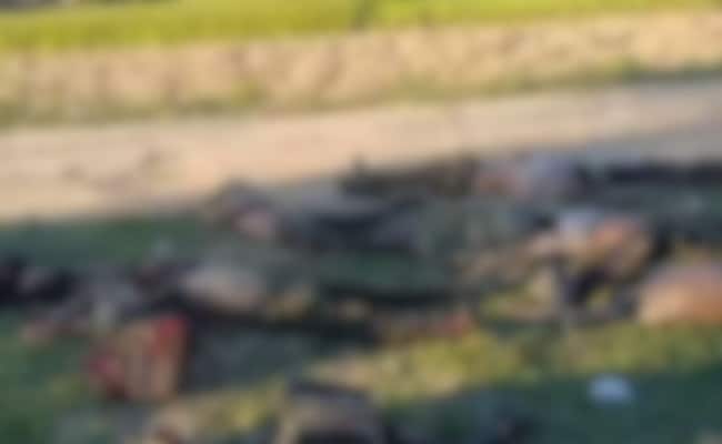 11 Suspected Kuki Militants Killed In Gunfight With Security Forces In Manipur Jiribam: Sources