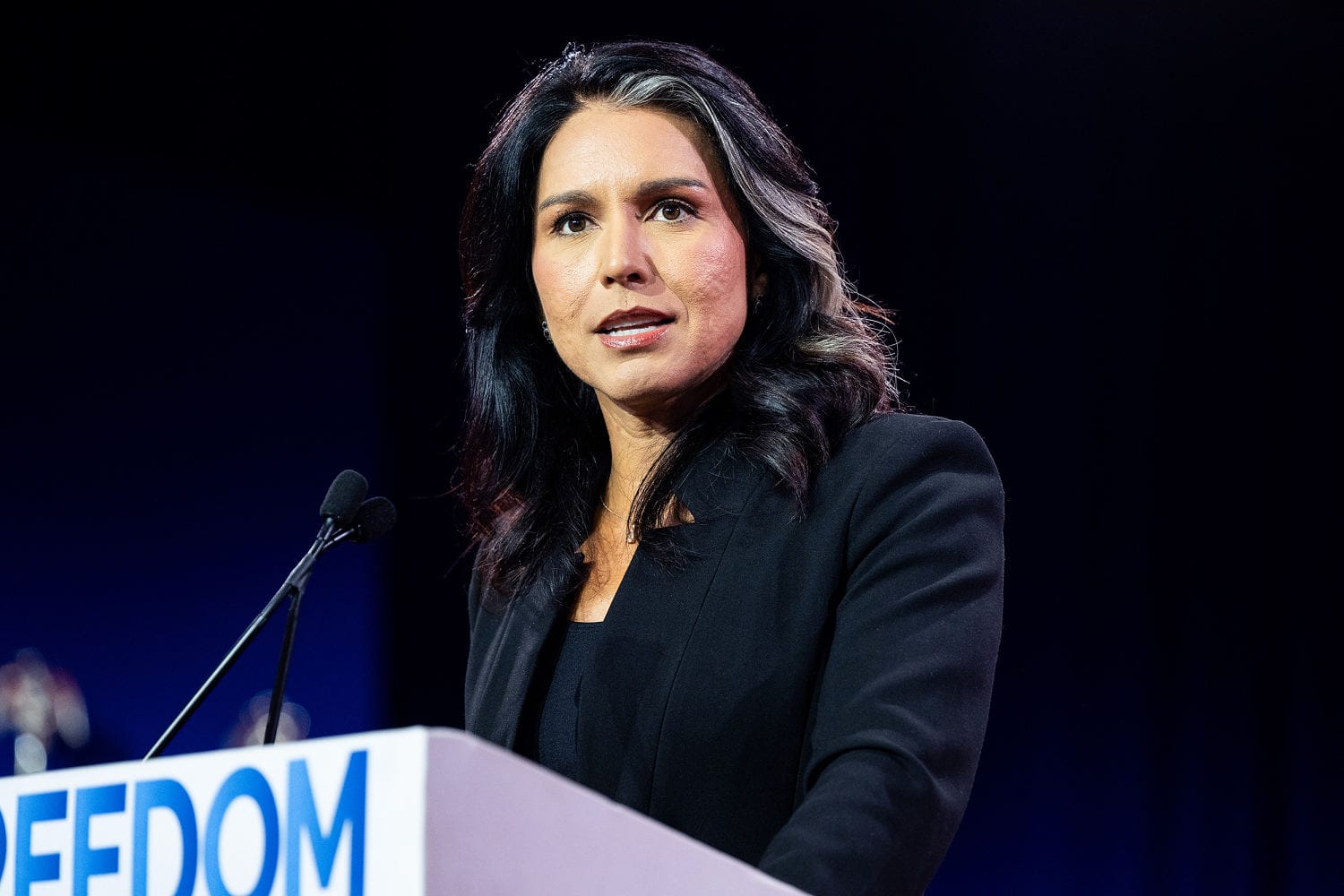 Nearly 100 former nationwide safety officers ‘alarmed’ at prospect of Gabbard main intel group