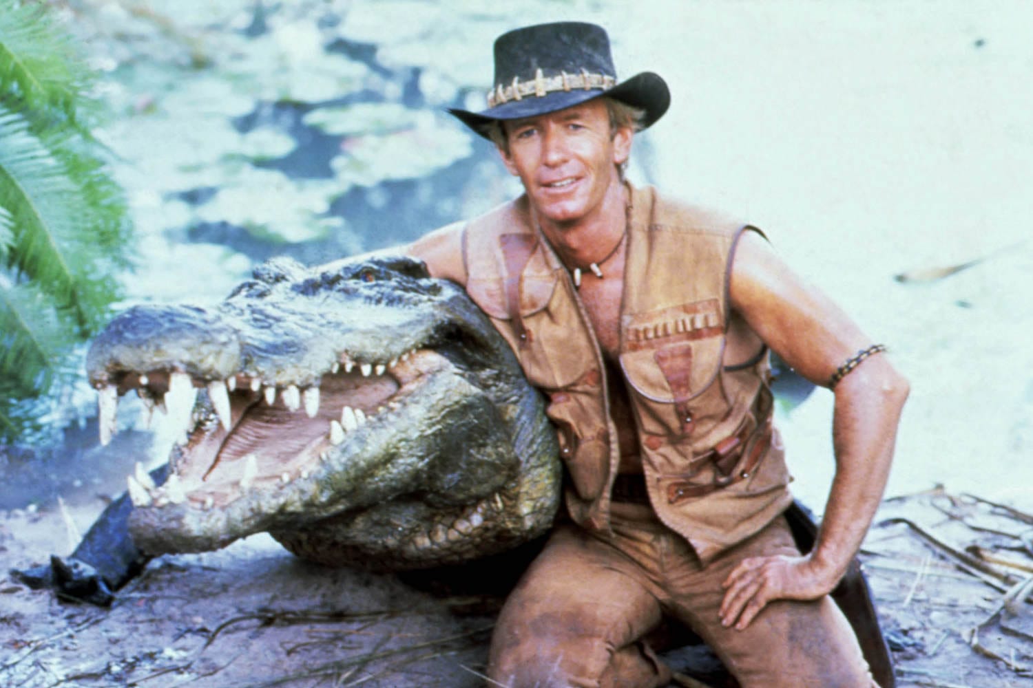 Burt, beloved crocodile from ‘Crocodile Dundee,’ dies at over 90 years previous