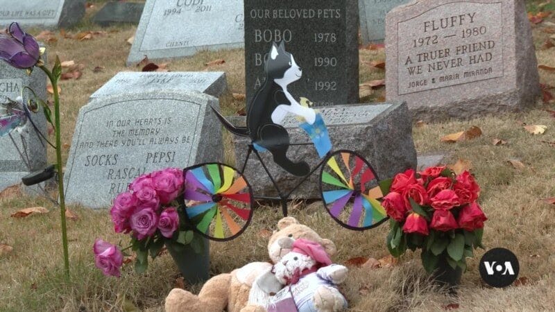 At America’s oldest pet cemetery, people spend eternity with devoted companions