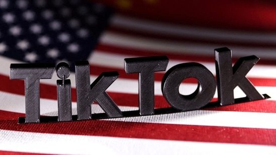 TikTok asks US Supreme Court to dam authorities ban