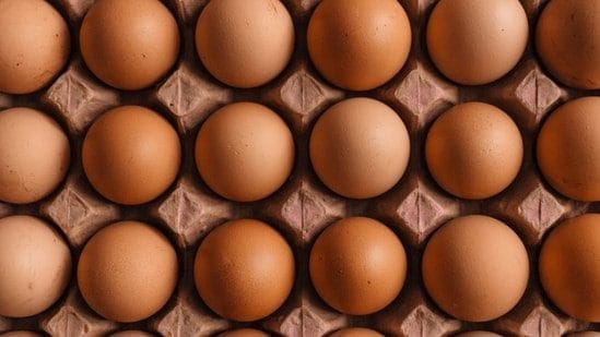 FDA elevates Costco egg recall to highest danger degree over salmonella contamination