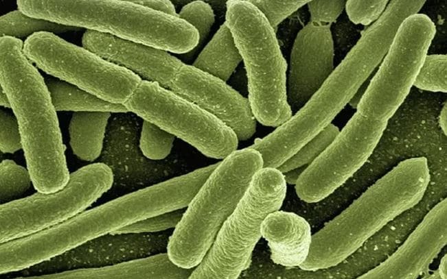 What Is “Bleeding Eye” Virus That Has Killed 15 In Rwanda So Far