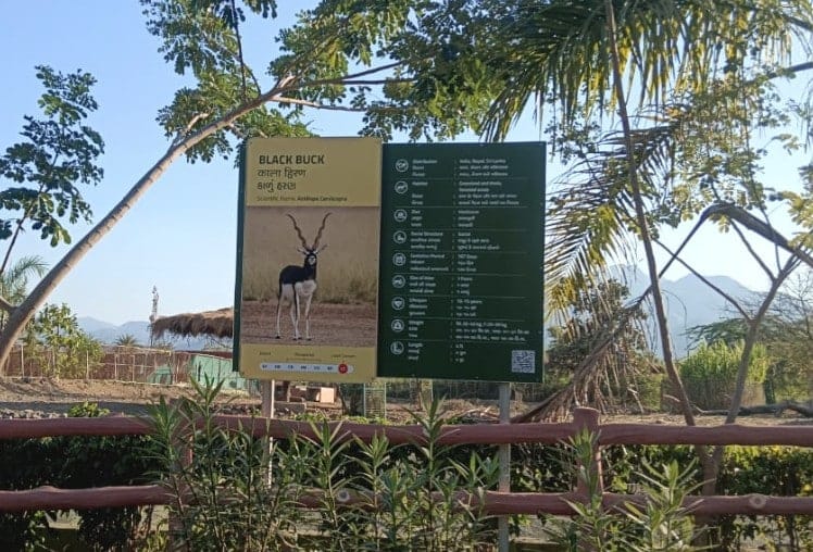 Leopard Kills Blackbuck Deer Near Statue Of Unity, 7 More Die Of Shock