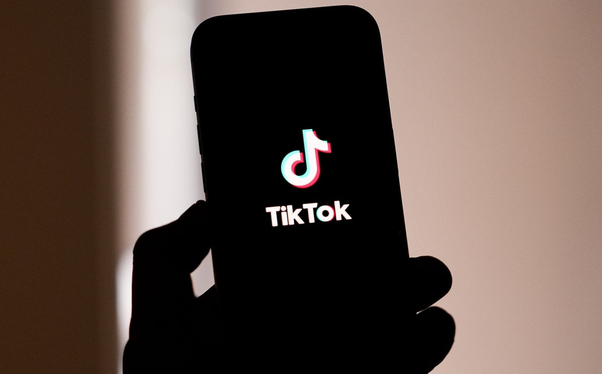 Is TikTok Coming Back? How to Use the App within the U.S. After the Ban – Hollywood Life