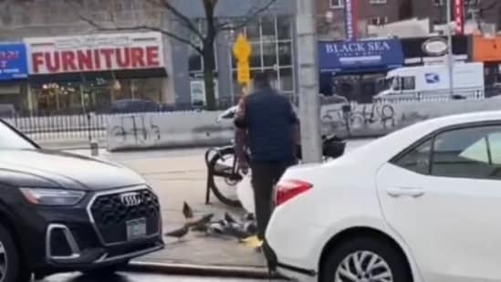 NYC MS Halal meals employee sparks outrage after catching pigeon with naked palms