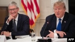 Apple shareholders reject proposal to scrap firm’s variety packages