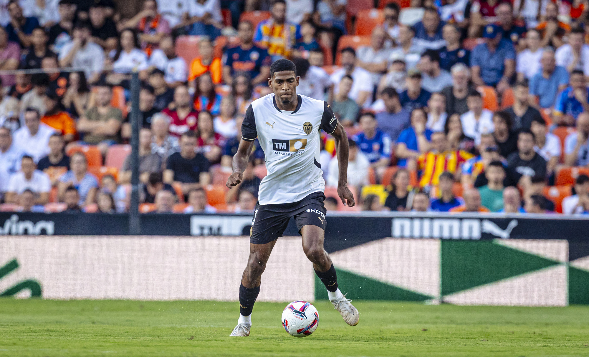 Arsenal put together € 20-25m supply for the Starlet League